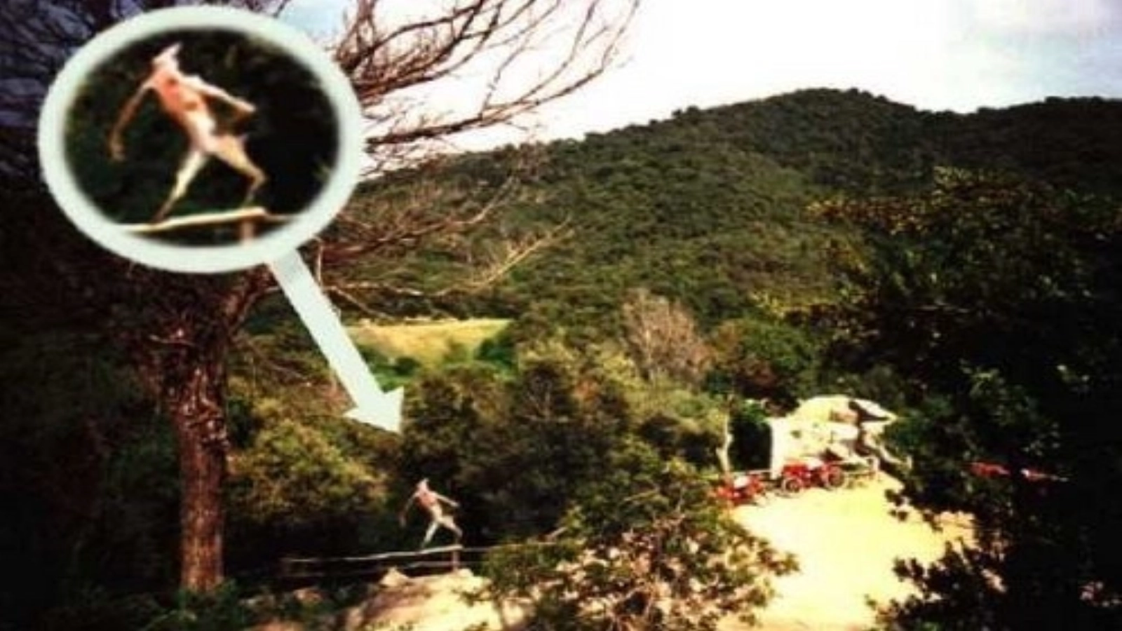 Article thumbnail