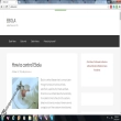 Article thumbnail