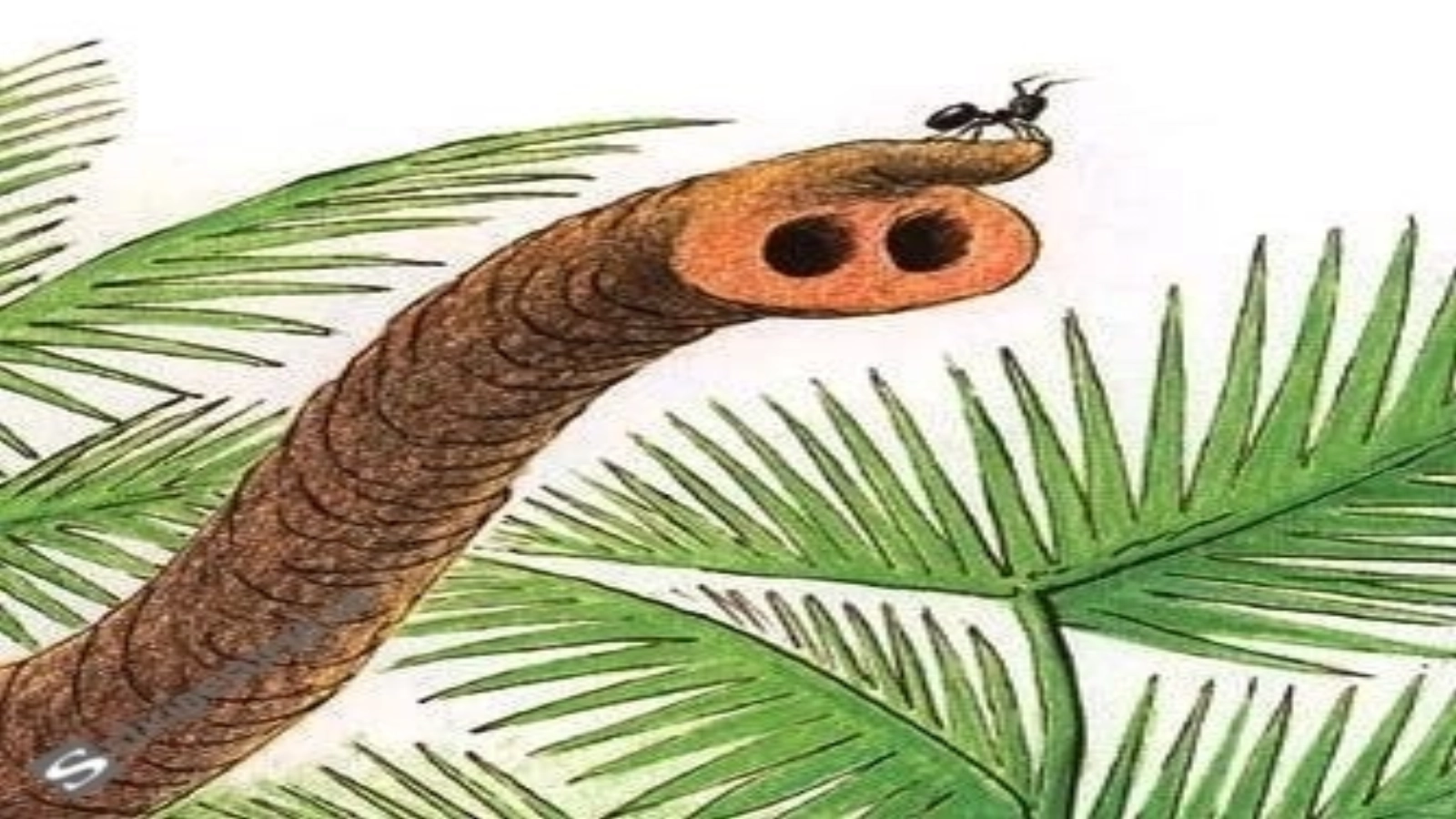 Article thumbnail
