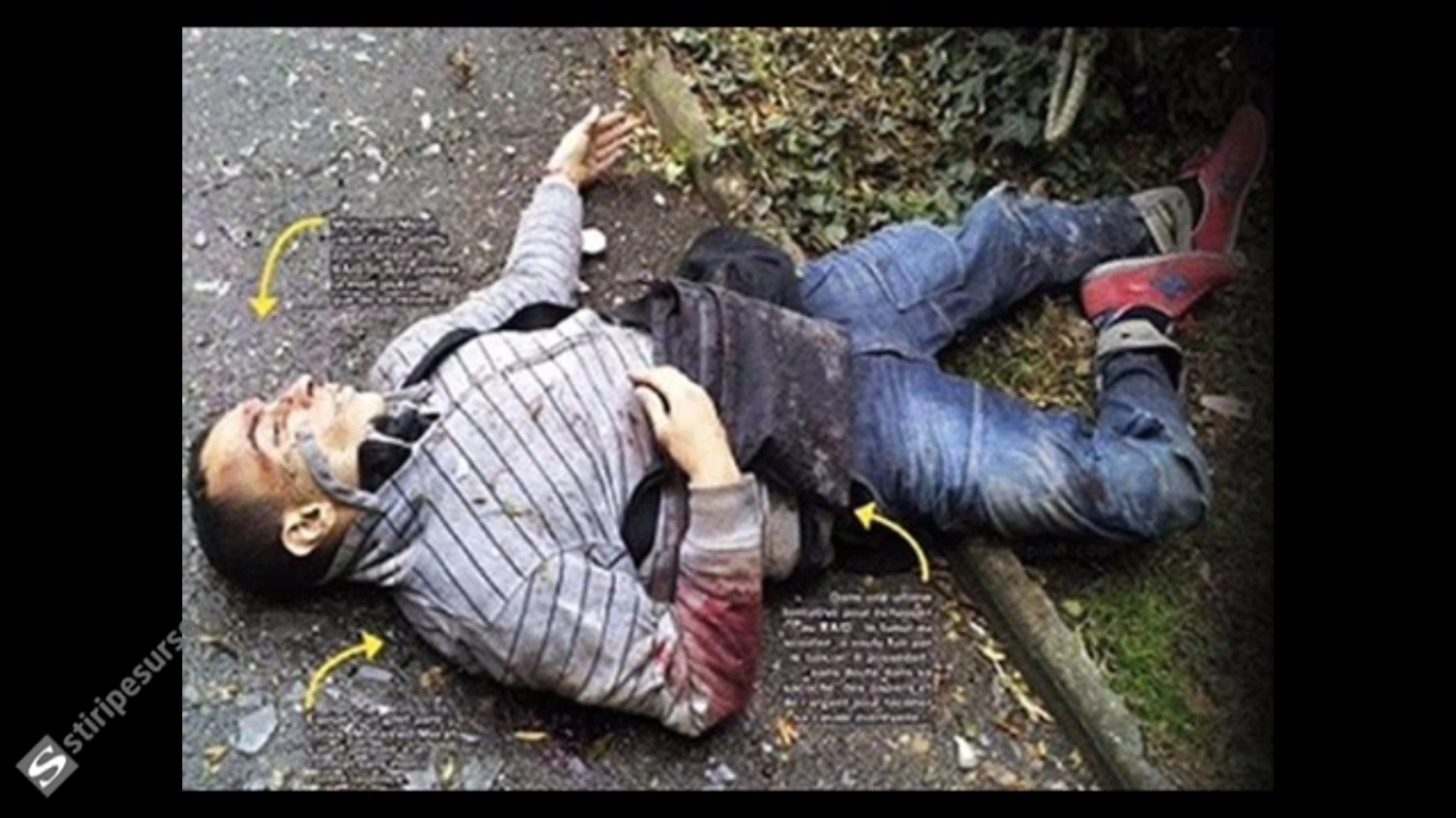 Article thumbnail