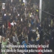 Article thumbnail