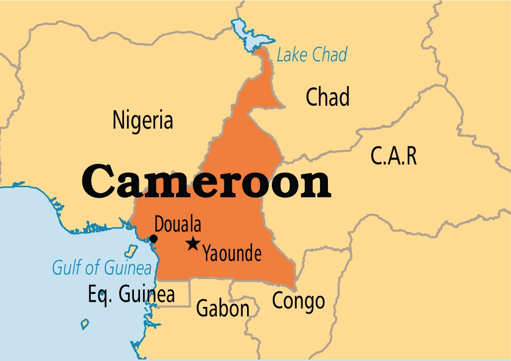 Alegeri în Camerun - Paul Biya a fost reales pentru al optulea mandat