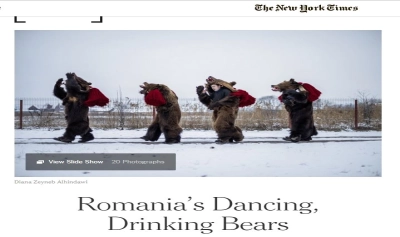 Article thumbnail