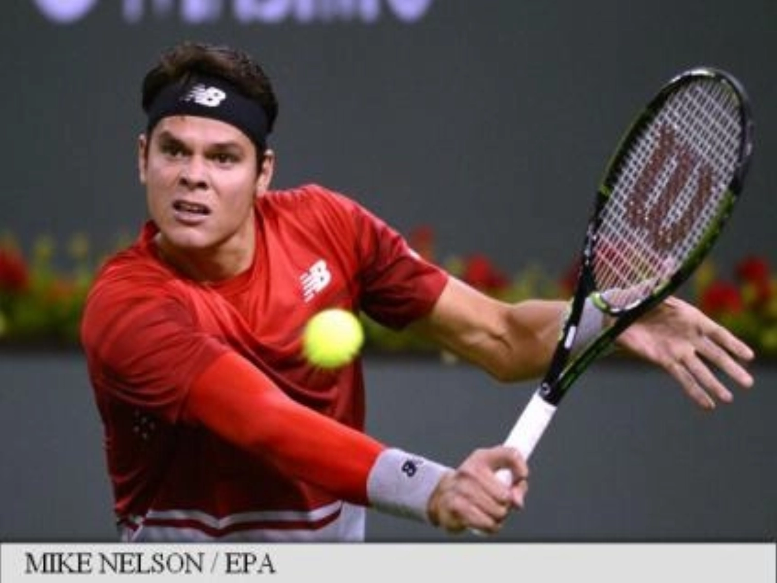 Article thumbnail