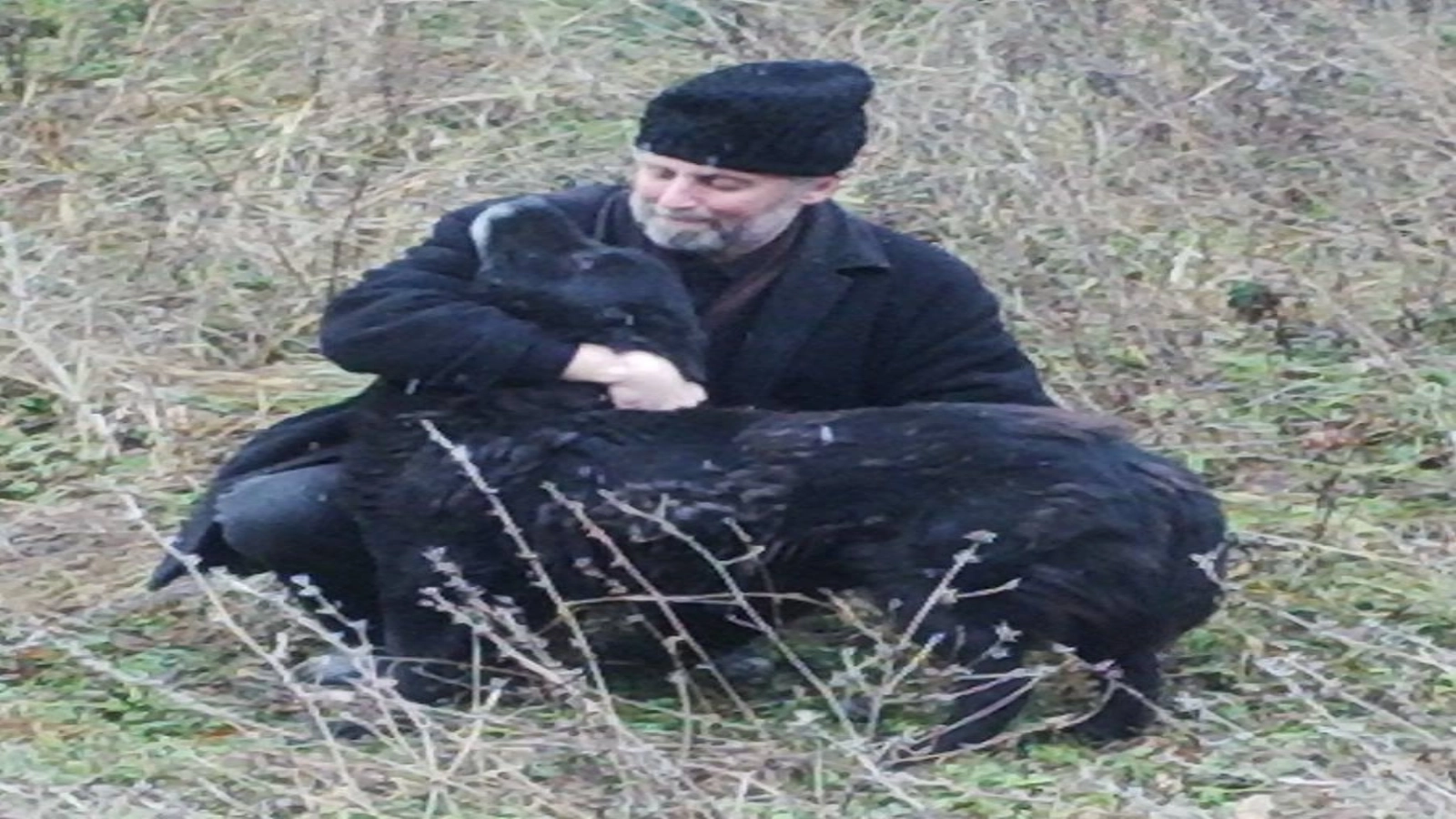 Article thumbnail