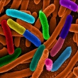 Article thumbnail
