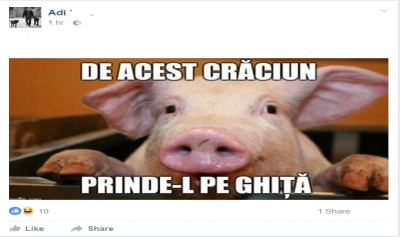 content-image