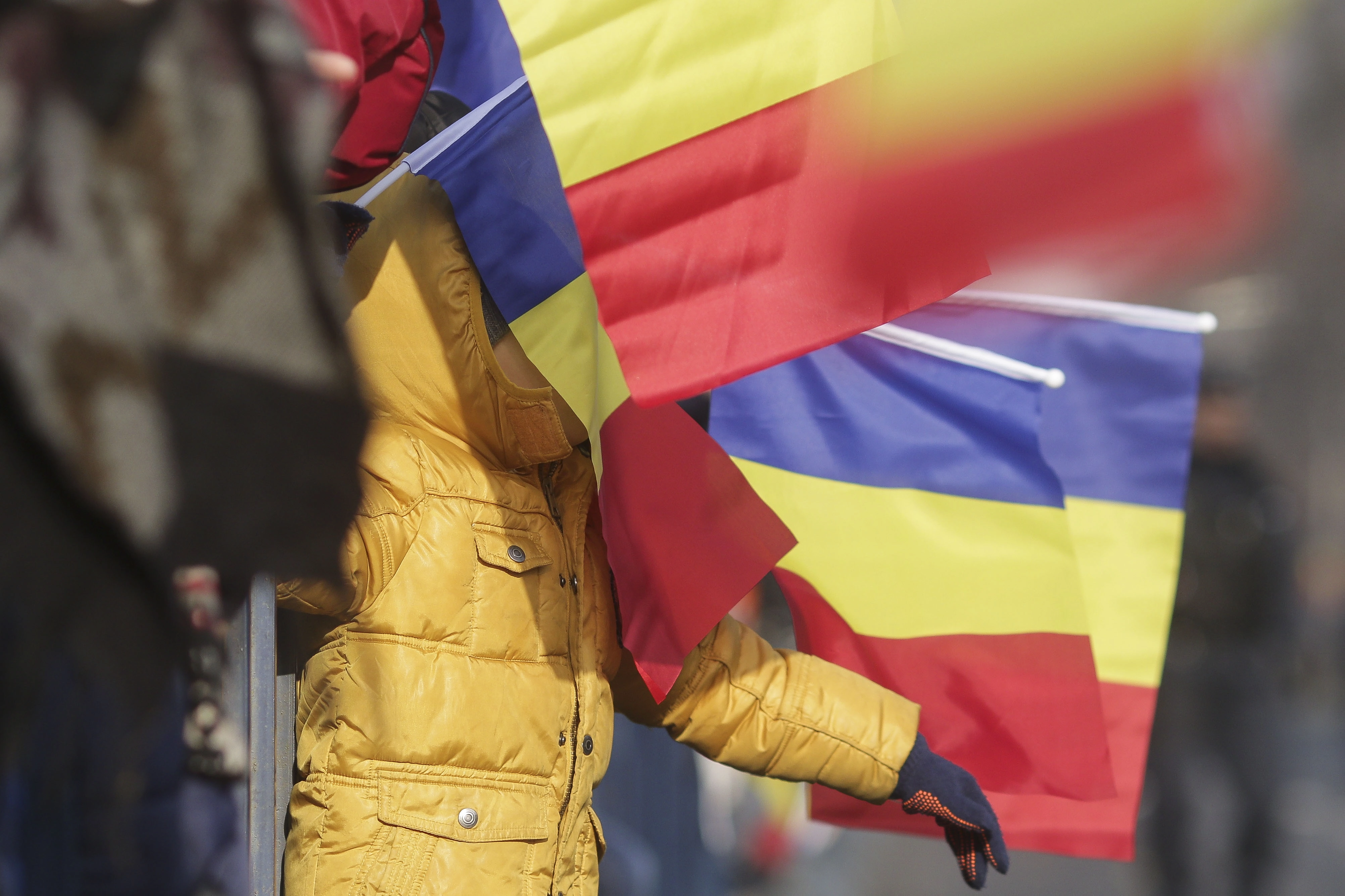 Cluj-Napoca se luminează de Ziua Naţională a României: „Corul Îngerilor", „Pădurea de Crăciun" şi cupola din Piaţa Unirii oferă spectacole multimedia speciale în zonele pietonale din centrul oraşului