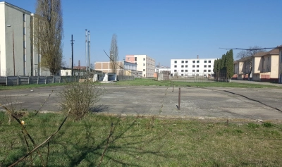content-image