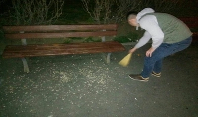 content-image
