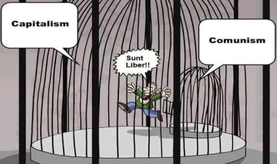 content-image