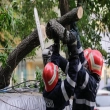 Article thumbnail
