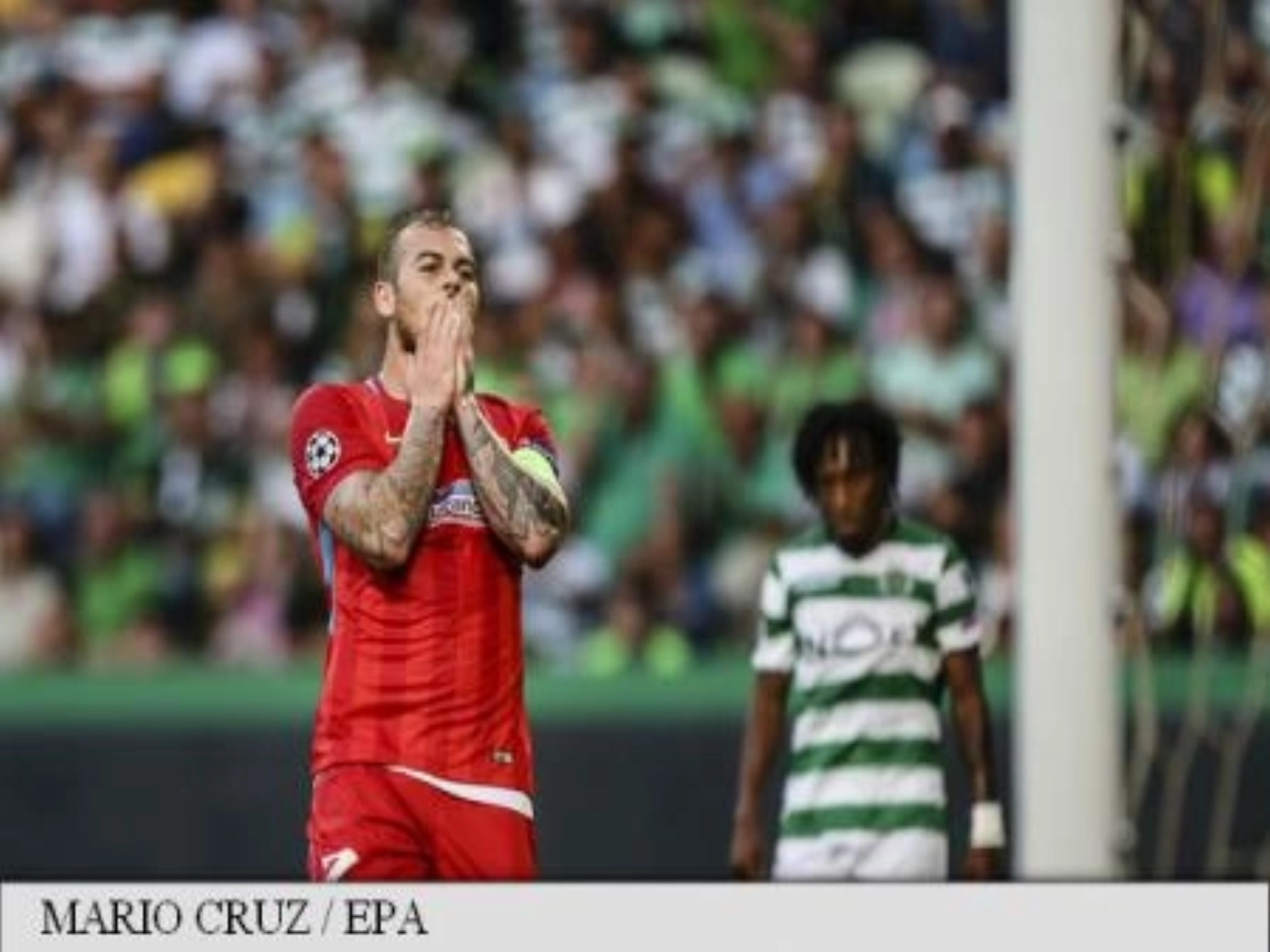 Article thumbnail