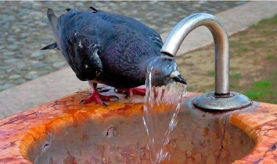 content-image