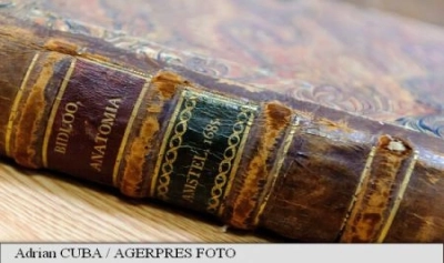 Article thumbnail
