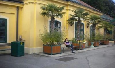 content-image