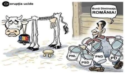 content-image