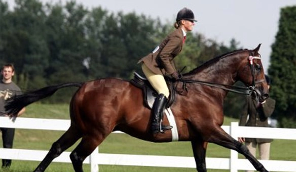 A fost inaugurat primul sistem de echitaţie adaptată din România, în sprijinul persoanelor cu dizabilităţi