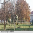 Article thumbnail