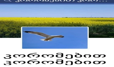 content-image