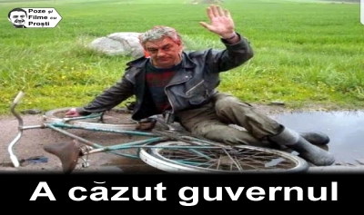 content-image