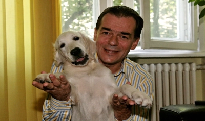 content-image