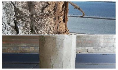 content-image