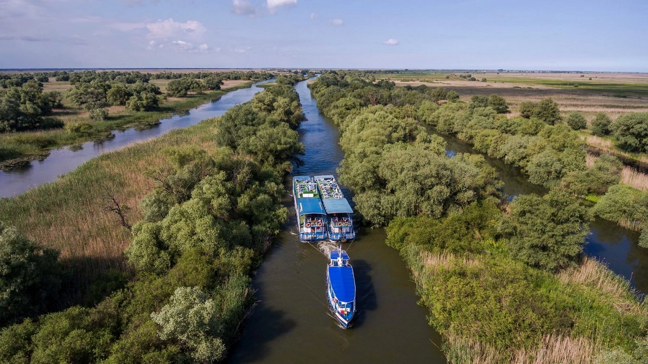 Suprafața afectată de incendiile din Delta Dunării s-a triplat în ultimul deceniu: peste 19.000 de hectare afectate