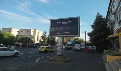 content-image
