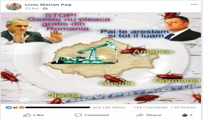content-image