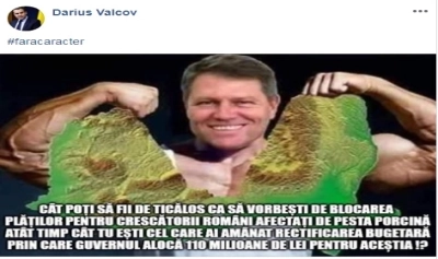 content-image