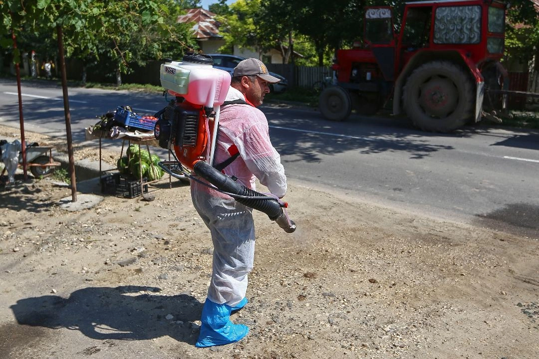 Catalonia a închis un parc natural după izbucnirea epidemiei de pestă porcină africană
