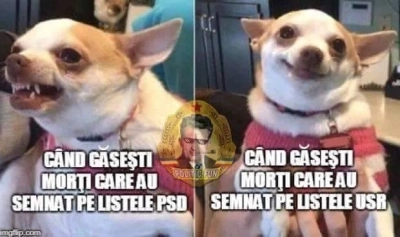 content-image