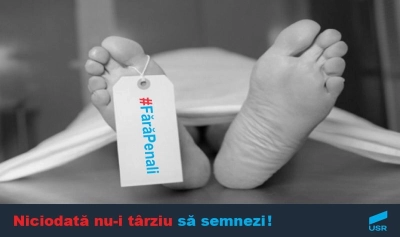 content-image