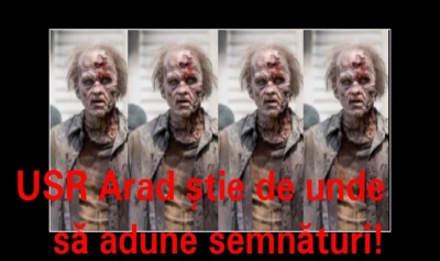 content-image