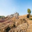 Article thumbnail