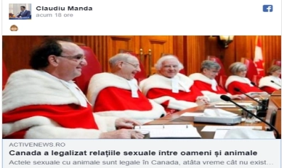content-image