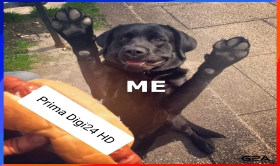 content-image