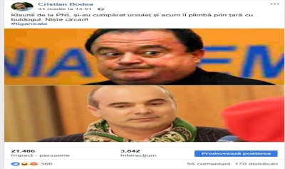content-image
