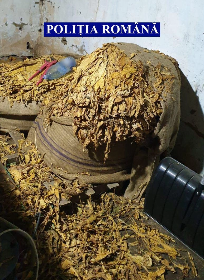 Tutun de contrabandă, descoperit într-un microbuz de transport persoane, cu ajutorul câinilor special antrenaţi
