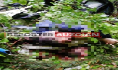 content-image
