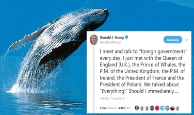 content-image