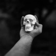 Article thumbnail