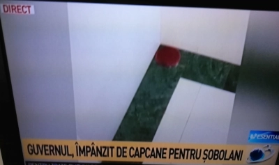 content-image