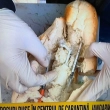 Article thumbnail