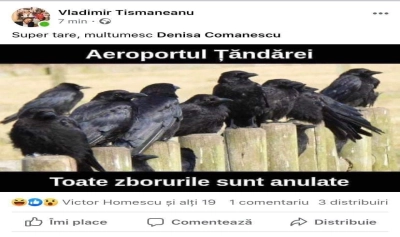content-image
