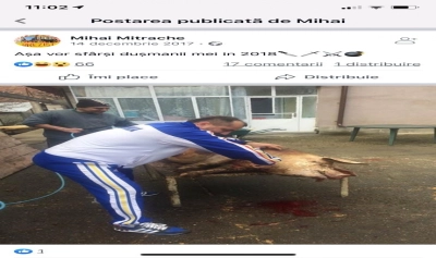 content-image