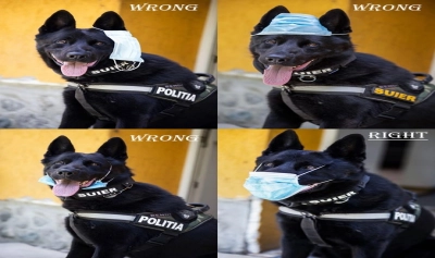 content-image
