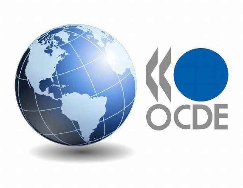 Ambasadorul Greciei: Susţinem aderarea României la OCDE