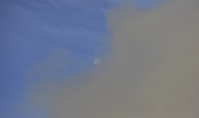 Article thumbnail
